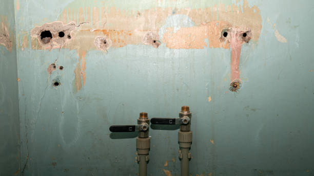 Best Local water damage restoration  in Revere, MA